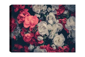 Lerretsbilde 70x100 cm - Fargerike blomster i røde og hvite nyanser - Rød / Hvit - Interiør - Maleri & posters - Lerretsbilder