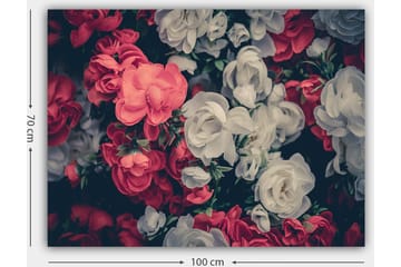 Lerretsbilde 70x100 cm - Fargerike blomster i røde og hvite nyanser - Rød / Hvit - Interiør - Maleri & posters - Lerretsbilder