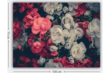 Lerretsbilde 70x100 cm - Fargerike blomster i røde og hvite nyanser - Rød / Hvit - Interiør - Maleri & posters - Lerretsbilder