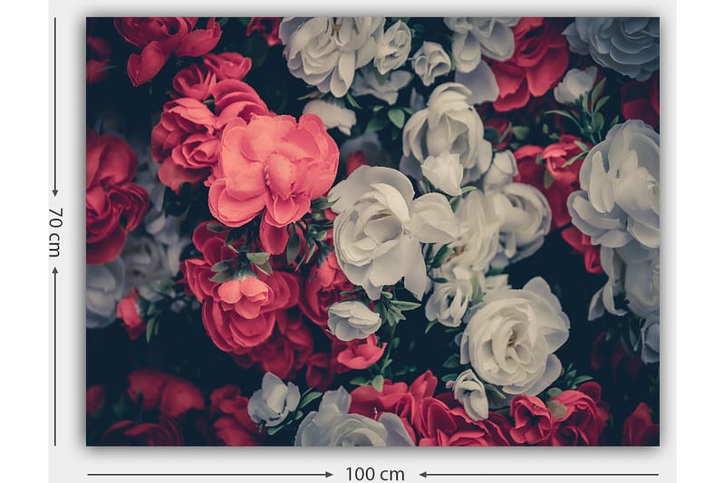 Lerretsbilde 70x100 cm - Fargerike blomster i røde og hvite nyanser - Rød / Hvit - Interiør - Maleri & posters - Lerretsbilder