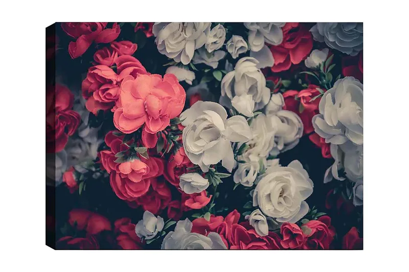 Lerretsbilde 70x100 cm - Fargerike blomster i røde og hvite nyanser, Rød / Hvit