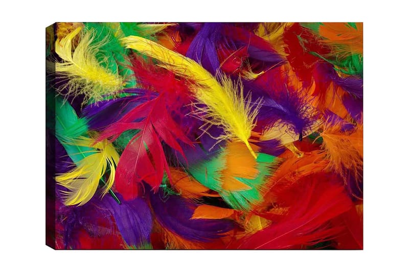 Lerretsbilde 70x100 cm - Fargerike fjær i en livlig komposisjon, Rød / Gul / Grønn