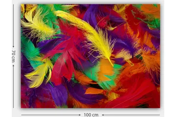 Lerretsbilde 70x100 cm - Fargerike fjær i en livlig komposisjon - Rød / Gul / Grønn - Interiør - Maleri & posters - Lerretsbilder