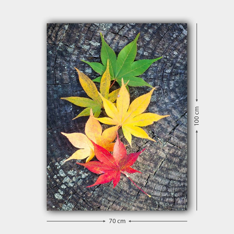 Lerretsbilde 70x100 cm - Fargerike høstblader i forskjellige nyanser på en treflate - Grønn / Gul / Rød - Interiør - Maleri & posters - Lerretsbilder
