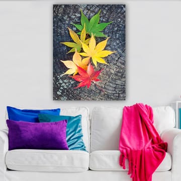 Lerretsbilde 70x100 cm - Fargerike høstblader i forskjellige nyanser på en treflate - Grønn / Gul / Rød - Interiør - Maleri & posters - Lerretsbilder
