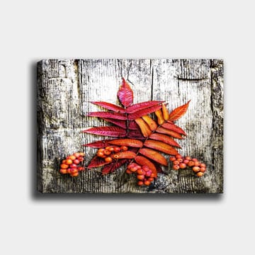Lerretsbilde 70x100 cm - Fargerike høstblader og bær på en treflate - Rød / Oransje / Gul - Interiør - Maleri & posters - Lerretsbilder