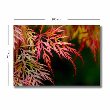 Lerretsbilde 70x100 cm - Fargerike lønneblader i forskjellige nyanser av rødt og rosa - Rød / Rosa / Grønn - Interiør - Maleri & posters - Lerretsbilder