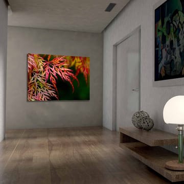 Lerretsbilde 70x100 cm - Fargerike lønneblader i forskjellige nyanser av rødt og rosa - Rød / Rosa / Grønn - Interiør - Maleri & posters - Lerretsbilder