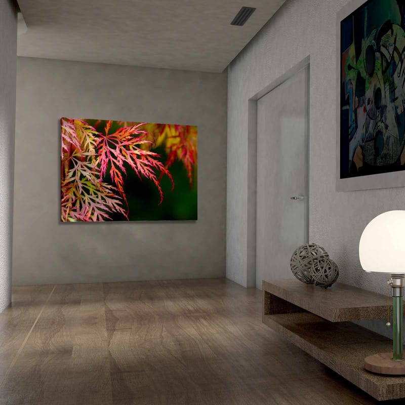 Lerretsbilde 70x100 cm - Fargerike lønneblader i forskjellige nyanser av rødt og rosa - Rød / Rosa / Grønn - Interiør - Maleri & posters - Lerretsbilder