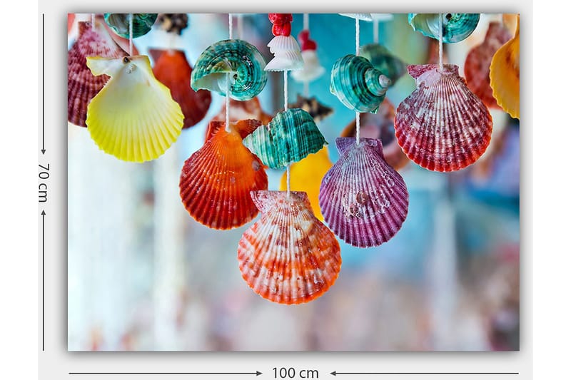 Lerretsbilde 70x100 cm - Fargerike skjell hengende i et dekorativt sett - Rød / Grønn / Oransje - Interiør - Maleri & posters - Lerretsbilder