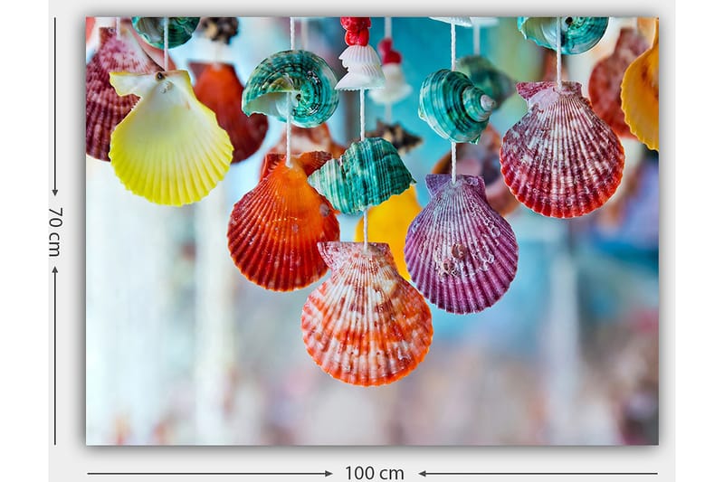 Lerretsbilde 70x100 cm - Fargerike skjell hengende i et dekorativt sett - Rød / Grønn / Oransje - Interiør - Maleri & posters - Lerretsbilder