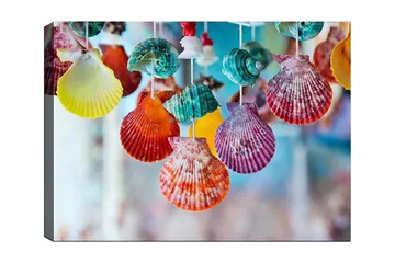 Lerretsbilde 70x100 cm - Fargerike skjell hengende i et dekorativt sett - Rød / Grønn / Oransje - Interiør - Maleri & posters - Lerretsbilder