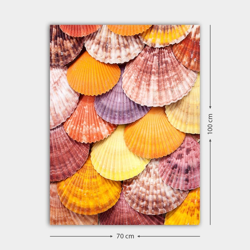 Lerretsbilde 70x100 cm - Fargerike skjell i et vakkert mønster - Oransje / Lilla / Rosa - Interiør - Maleri & posters - Lerretsbilder