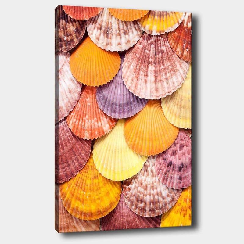Lerretsbilde 70x100 cm - Fargerike skjell i et vakkert mønster, Oransje / Lilla / Rosa