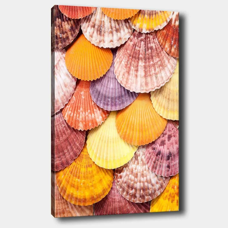 Lerretsbilde 70x100 cm - Fargerike skjell i et vakkert mønster, Oransje / Lilla / Rosa