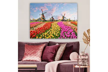 Lerretsbilde 70x100 cm - Fargerike tulipanåkre med vindmøller i bakgrunnen - Rød / Rosa / Gul - Interiør - Maleri & posters - Lerretsbilder