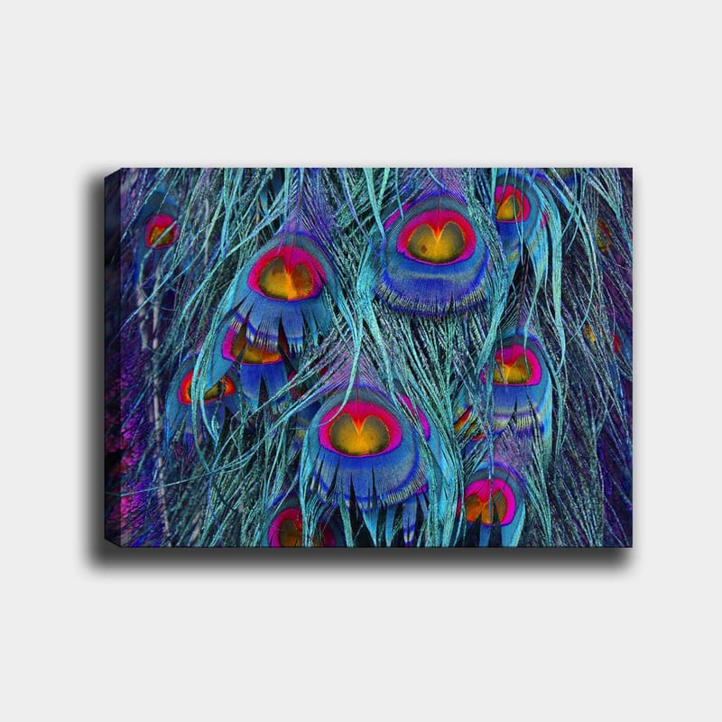 Lerretsbilde 70x100 cm - Fargerike påfuglfjær med et hypnotiserende mønster, Turkis / Lilla / Rød