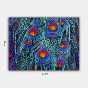 Lerretsbilde 70x100 cm - Fargerike påfuglfjær med et hypnotiserende mønster - Turkis / Lilla / Rød - Interiør - Maleri & posters - Lerretsbilder