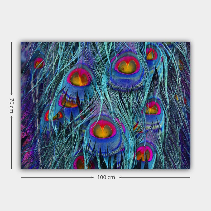 Lerretsbilde 70x100 cm - Fargerike påfuglfjær med et hypnotiserende mønster - Turkis / Lilla / Rød - Interiør - Maleri & posters - Lerretsbilder