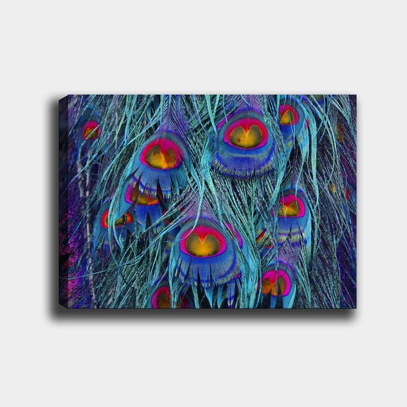 Lerretsbilde 70x100 cm - Fargerike påfuglfjær med et hypnotiserende mønster, Turkis / Lilla / Rød