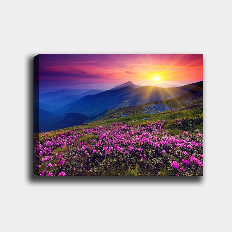 Lerretsbilde 70x100 cm - Fargerikt fjellandskap med blomstrende rosa blomster i forgrunnen og en soloppgang i bakgrunnen - Rosa / Lilla / Gull - Interiør - Maleri & posters - Lerretsbilder