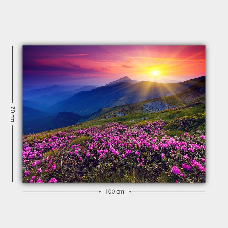Lerretsbilde 70x100 cm - Fargerikt fjellandskap med blomstrende rosa blomster i forgrunnen og en soloppgang i bakgrunnen - Rosa / Lilla / Gull - Interiør - Maleri & posters - Lerretsbilder
