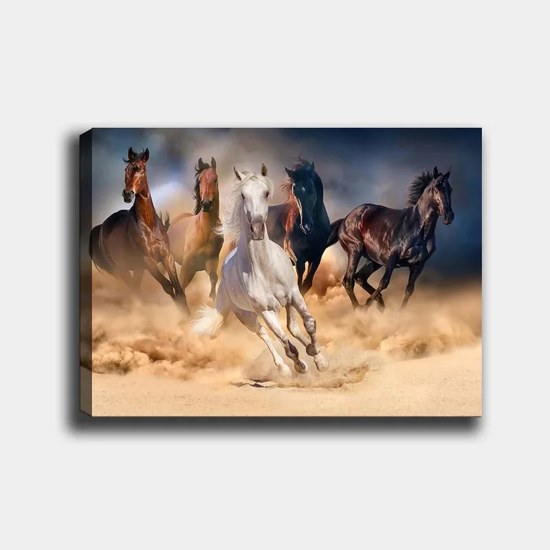 Lerretsbilde 70x100 cm - Fem hester i full galopp gjennom sand og st øv, Hvit / Brun / Svart