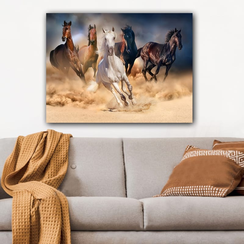 Lerretsbilde 70x100 cm - Fem hester i full galopp gjennom sand og støv - Hvit / Brun / Svart - Interiør - Maleri & posters - Lerretsbilder