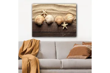 Lerretsbilde 70x100 cm - Fem skjell og en sjøstjerne på en sandbakgrunn - Beige / Brun / Hvit - Interiør - Maleri & posters - Lerretsbilder