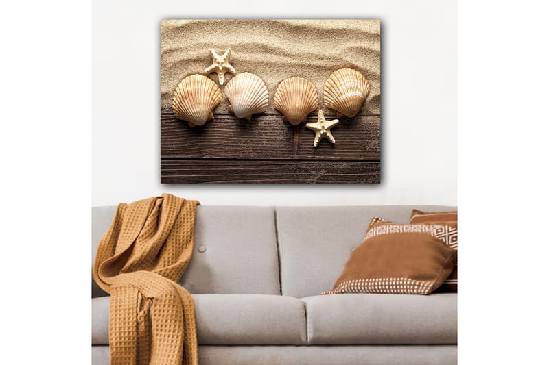 Lerretsbilde 70x100 cm - Fem skjell og en sjøstjerne på en sandbakgrunn, Beige / Brun / Hvit