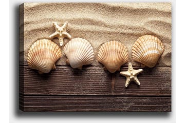 Lerretsbilde 70x100 cm - Fem skjell og en sjøstjerne på en sandbakgrunn - Beige / Brun / Hvit - Interiør - Maleri & posters - Lerretsbilder