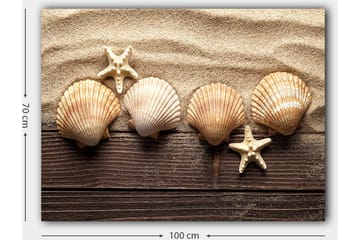 Lerretsbilde 70x100 cm - Fem skjell og en sjøstjerne på en sandbakgrunn - Beige / Brun / Hvit - Interiør - Maleri & posters - Lerretsbilder