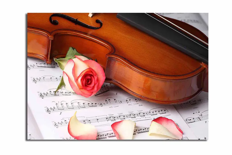 Lerretsbilde 70x100 cm - Fiolin med rose og roseblader på et noterark, Rød / Beige / Brun