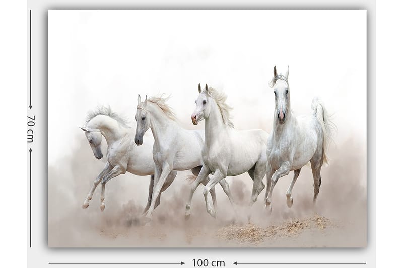 Lerretsbilde 70x100 cm - Fire hvite hester galopperer fremover i tåkete omgivelser - Hvit / Lys grå - Interiør - Maleri & posters - Lerretsbilder