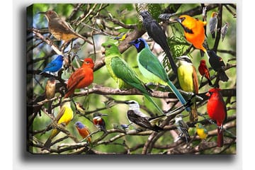 Lerretsbilde 70x100 cm - Flere fargerike fugler som sitter på grener i et livlig naturmiljø - Grønn / Rød / Blå - Interiør - Maleri & posters - Lerretsbilder