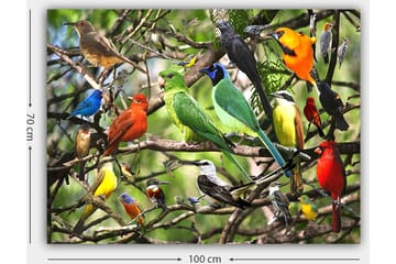 Lerretsbilde 70x100 cm - Flere fargerike fugler som sitter på grener i et livlig naturmiljø - Grønn / Rød / Blå - Interiør - Maleri & posters - Lerretsbilder