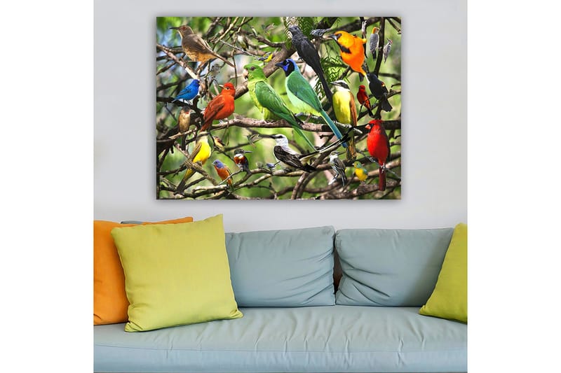 Lerretsbilde 70x100 cm - Flere fargerike fugler som sitter på grener i et livlig naturmiljø, Grønn / Rød / Blå