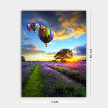 Lerretsbilde 70x100 cm - Flere fargerike varmluftsballonger svever over et lavendelfelt i solnedgangens lys - Lilla / Grønn / Svart - Interiør - Maleri & posters - Lerretsbilder