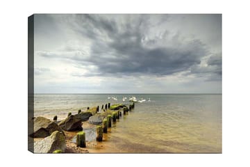 Lerretsbilde 70x100 cm - Fredelig innsjø med svaner som svømmer ved en brygge omgitt av steiner - Grå / Grønn / Blå - Interiør - Maleri & posters - Lerretsbilder