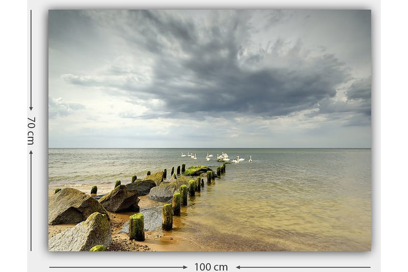 Lerretsbilde 70x100 cm - Fredelig innsjø med svaner som svømmer ved en brygge omgitt av steiner - Grå / Grønn / Blå - Interiør - Maleri & posters - Lerretsbilder