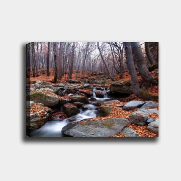 Lerretsbilde 70x100 cm - Fredelig skogscene med en klukkende bekk omgitt av høstfargede blader og steiner - Grå / Oransje / Brun - Interiør - Maleri & posters - Lerretsbilder