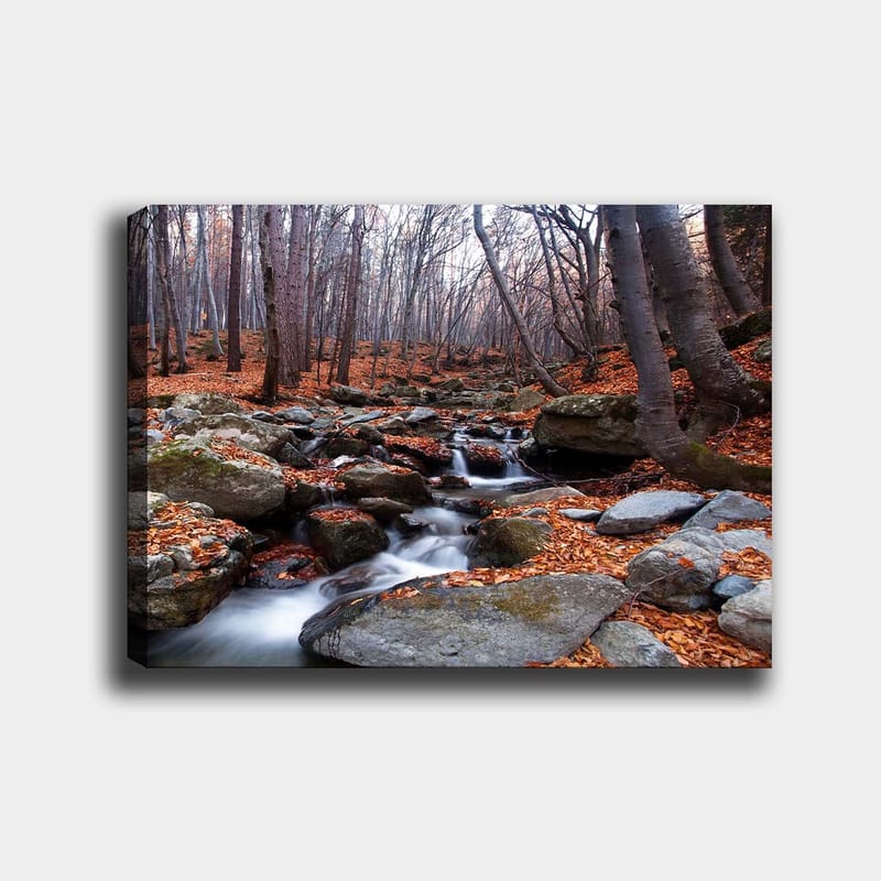 Lerretsbilde 70x100 cm - Fredelig skogscene med en klukkende bekk omgitt av høstfargede blader og steiner, Grå / Oransje / Brun