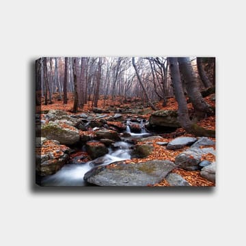 Lerretsbilde 70x100 cm - Fredelig skogscene med en klukkende bekk omgitt av høstfargede blader og steiner - Grå / Oransje / Brun - Interiør - Maleri & posters - Lerretsbilder