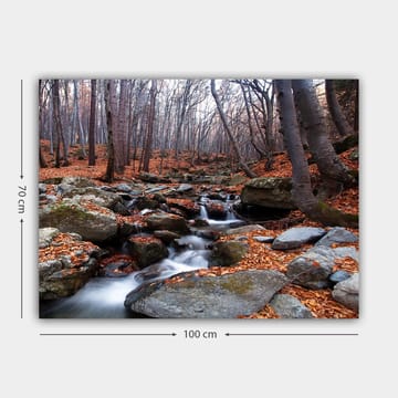 Lerretsbilde 70x100 cm - Fredelig skogscene med en klukkende bekk omgitt av høstfargede blader og steiner - Grå / Oransje / Brun - Interiør - Maleri & posters - Lerretsbilder