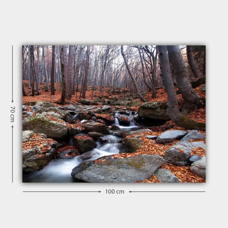 Lerretsbilde 70x100 cm - Fredelig skogscene med en klukkende bekk omgitt av høstfargede blader og steiner - Grå / Oransje / Brun - Interiør - Maleri & posters - Lerretsbilder