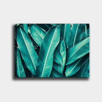 Lerretsbilde 70x100 cm - Frodig løvverk i en harmonisk komposisjon - Turkis / Mørkegrønn - Interiør - Maleri & posters - Lerretsbilder