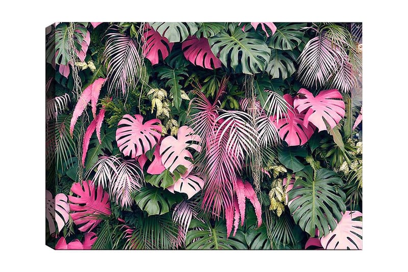 Lerretsbilde 70x100 cm - Frodig samling av tropiske planter med store, fargerike blader, Grønn / Rosa
