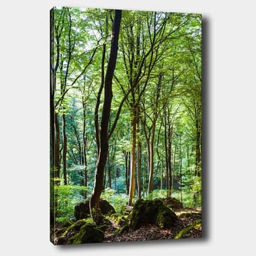 Lerretsbilde 70x100 cm - Frodig skog med høye trær og frodig vegetasjon - Grønn / Brun - Interiør - Maleri & posters - Lerretsbilder