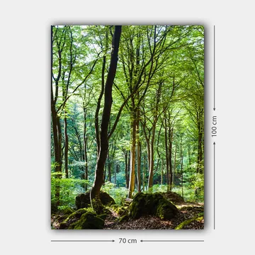 Lerretsbilde 70x100 cm - Frodig skog med høye trær og frodig vegetasjon - Grønn / Brun - Interiør - Maleri & posters - Lerretsbilder