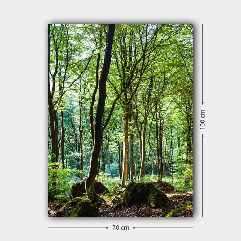 Lerretsbilde 70x100 cm - Frodig skog med høye trær og frodig vegetasjon - Grønn / Brun - Interiør - Maleri & posters - Lerretsbilder